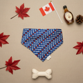 Eh Canada - Canada flat lay