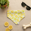 Lemon Drop themed summer