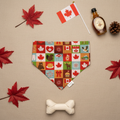 Strong and Free - Canada flat lay