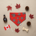 True North - Canada flat lay