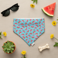 Watermelon Splash summer flat lay